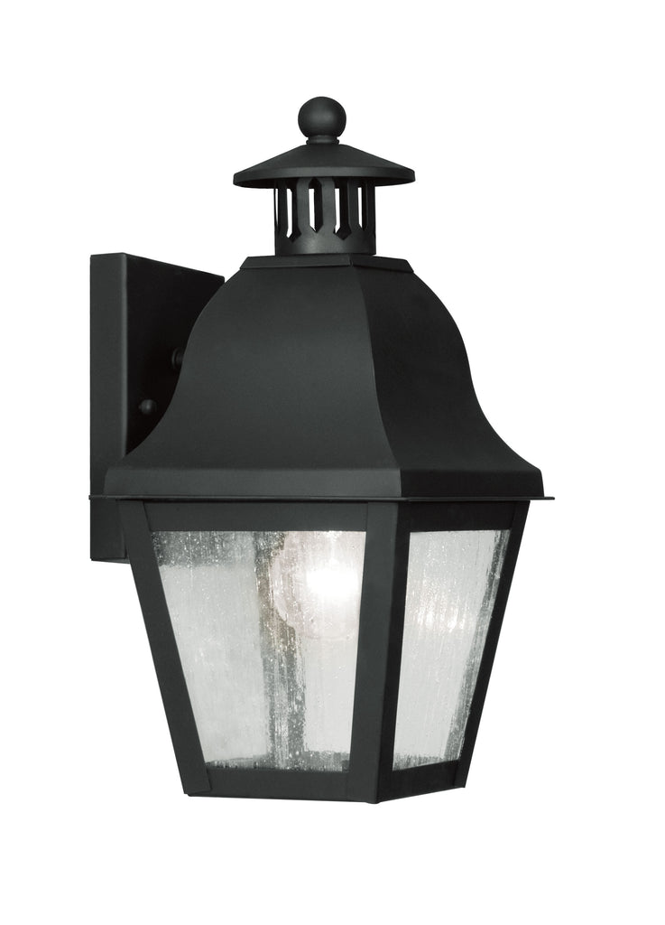 Livex Amwell 1 Light Black Outdoor Wall Lantern - C185-2550-04